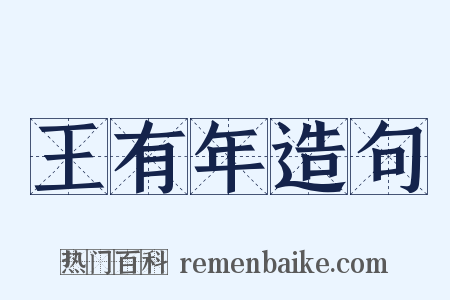 王有年造句是什么意思的图片